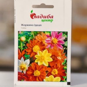 Жоржина Ідеал суміш СЦ Hem Zaden 0.1 г