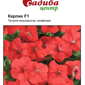 Петунія Карлик F1 червона 10 гранул СЦ Cerny