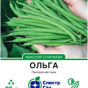 Квасоля Ольга спаржева, зелена СПЕКТР 20 г