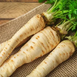 Пастернак Петрик (любительська) ІС 1 г