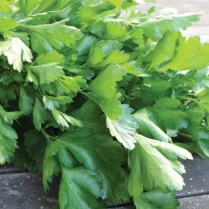 Петрушка Врожайна (любительська) ІС 5 г