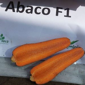 Морква Абако F1  (Seminis) 1 000 000 насінин (2,0-2,2 мм)