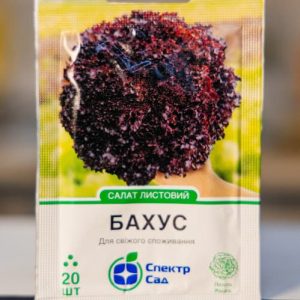 Салат Бахус тип лоло росса, насичено-червоний СПЕКТР 20 насінин