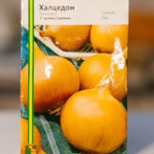 Цибуля Халцедон (любительська) ІС 2 г