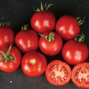 Томат Шаста (Spark Seeds) 1000 насінин