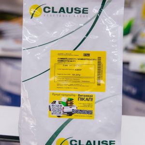 Кукурудза Кемберленд (Clause) 5000насінин