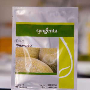 Диня Фландер (Syngenta) 500насінин