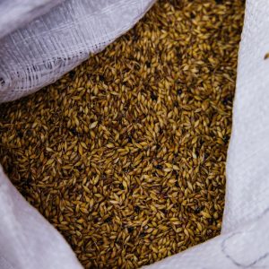 Суданська трава 1кг