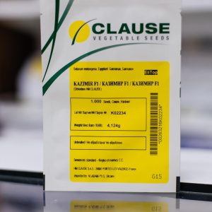 Насіння баклажана Казимір (Clause), 1000 насінин