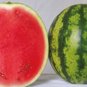 Кавун Вікторія (Nunhems)