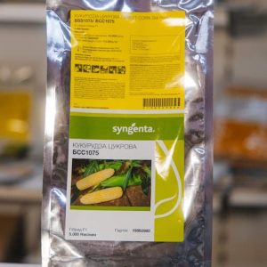 Кукурудза БСС 1075 (Syngenta) 5000 насінин