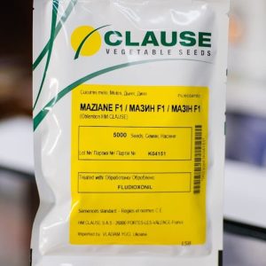 Диня Мазін (Clause)