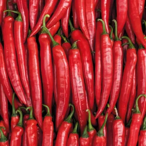 Перець Хайфі F1 (Enza Zaden)