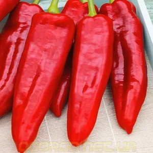 Перець Портека F1 (Rijk Zwaan)