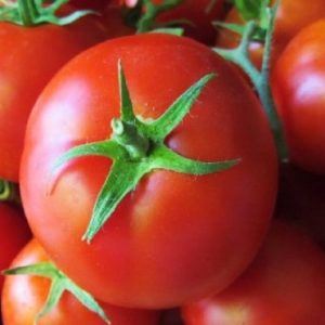Томат Лінда F1 (Sakata)