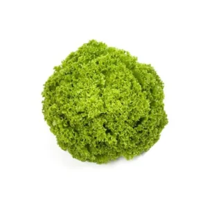 Салат Алеппо (Rijk Zwaan) 1000 драже