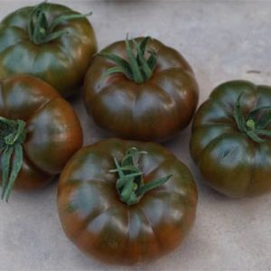 Томат Браун Кой F1 (Yuksel)