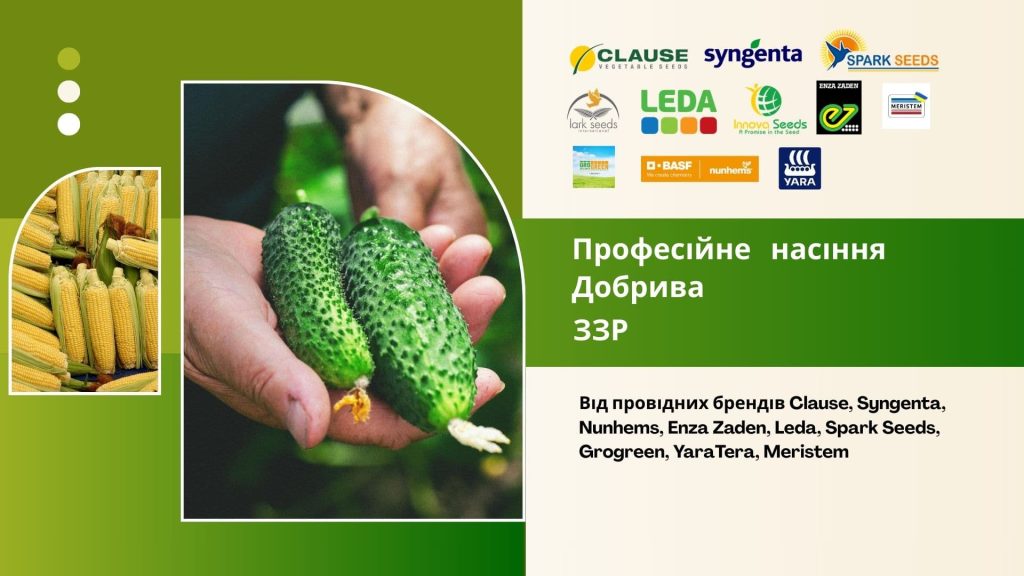 Golovna Storinka Aktualno 1