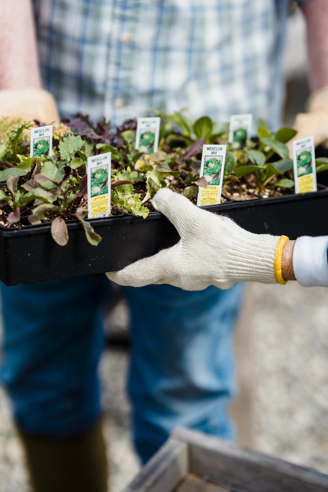 Касети та субстрати