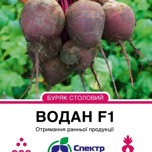 Буряк Водан столовий 200 насінин