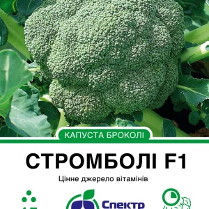 Капуста броколі Стромболі F1 15 насінин