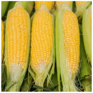 Кукурудза цукрова Форвард F1 (Spark Seeds)